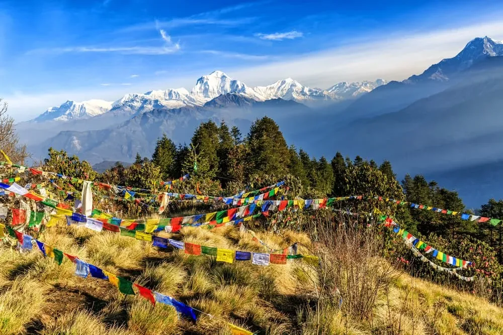 Ghorepani / Poon Hill Region