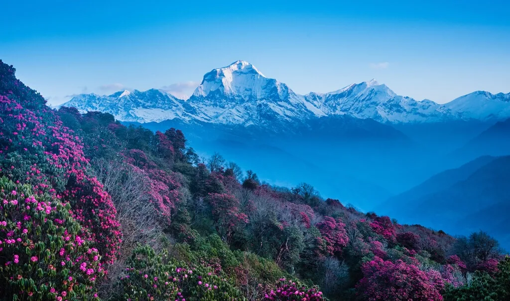 Poon Hill Ghandruk 4 Days Trek from Pokhara